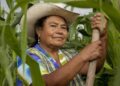 Día Mundial de la Mujer Rural, 15 de Octubre