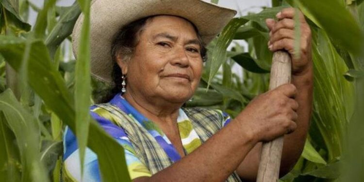 Día Mundial de la Mujer Rural, 15 de Octubre