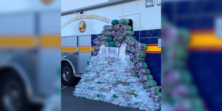 Golpe al narco mexicano: realizan histórico decomiso en EU