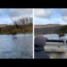 ¿ilusión óptica? Alce corre sobre aguas de un río en Alaska