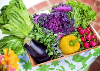 5 razones por las que debes incluir algas en tu comida