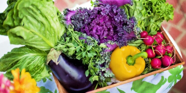 5 razones por las que debes incluir algas en tu comida