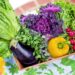 5 razones por las que debes incluir algas en tu comida