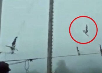 #Video Danzante cae 10 metros durante ritual en Hidalgo