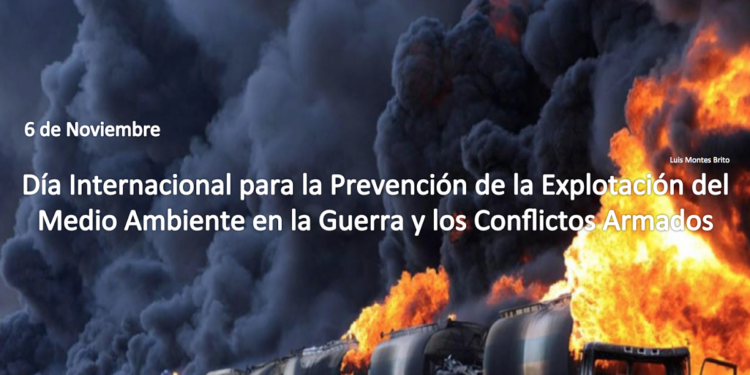 Día Internacional para la prevención de la explotación del Medio Ambiente en la guerra y los conflictos armados