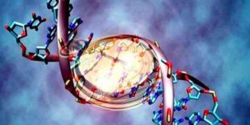 Desarrollan reloj epigenético; mide la multiplicación de las células tumorales
