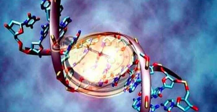 Desarrollan reloj epigenético; mide la multiplicación de las células tumorales