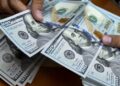 El dólar hoy viernes 20 de noviembre en $20.11 pesos