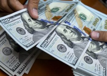 El dólar hoy viernes 20 de noviembre en $20.11 pesos
