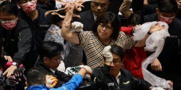 Lanzan vísceras de cerdo en plena sesión del Parlamento en Taiwán