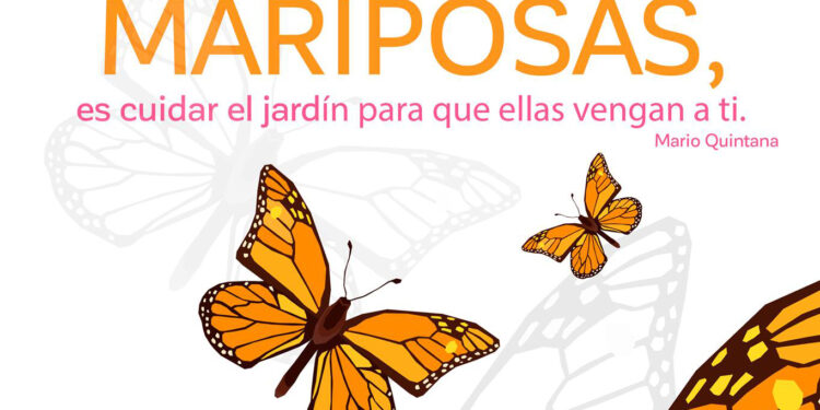 Actividades en materia ambiental en SLP