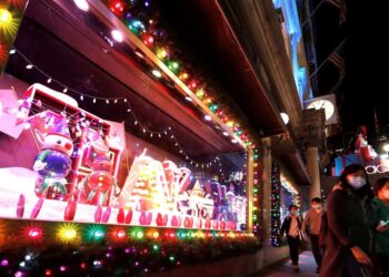 OPS recomienda quedarse en casa y reducir eventos de fin de año