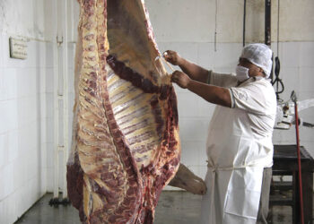 Descartan riesgo de carne con clembuterol en rastro municipal