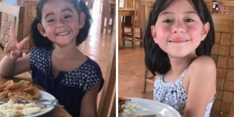 Ayuda a encontrar a Emily y Mayte; las robaron del auto de su madre en CDMX