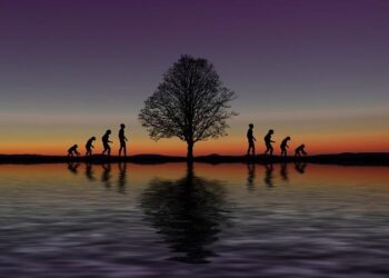Día Mundial de la Evolución, 24 de noviembre