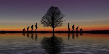 Día Mundial de la Evolución, 24 de noviembre