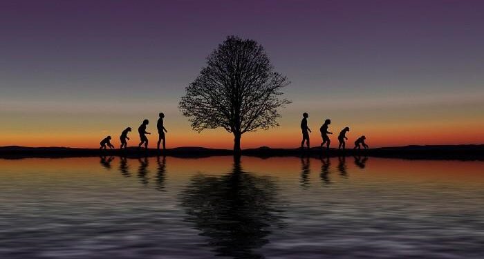 Día Mundial de la Evolución, 24 de noviembre