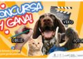 Por cerrar convocatoria para concurso “Semana de la Vida Animal”