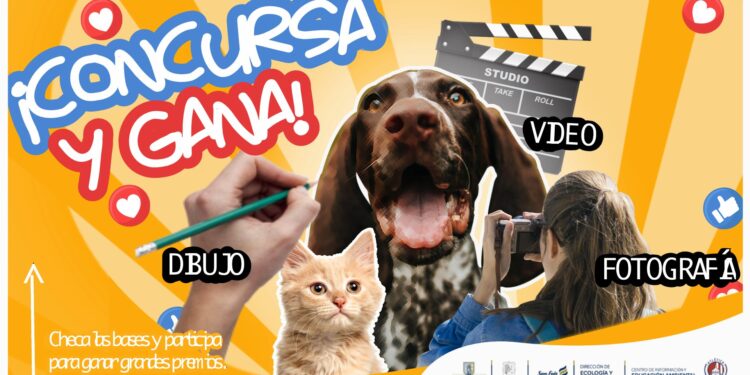 Por cerrar convocatoria para concurso “Semana de la Vida Animal”