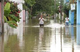 Arreglaremos casas y daremos enseres domésticos a afectados en el sureste: AMLO