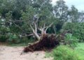 Zonas arqueológicas de Yucatán sufren daños por inundaciones
