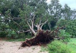 Zonas arqueológicas de Yucatán sufren daños por inundaciones