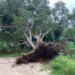 Zonas arqueológicas de Yucatán sufren daños por inundaciones