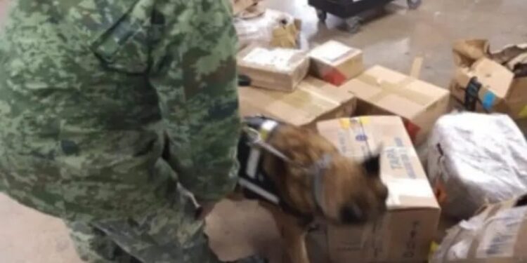 Militares aseguran 27 litros de metanfetamina en Aeropuerto Potosino