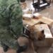 Militares aseguran 27 litros de metanfetamina en Aeropuerto Potosino