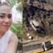 Fallece sobreviviente de la explosión de pipa en la Tepic-Guadalajara