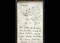 Desaparecen cuadernos de Darwin en Cambridge University