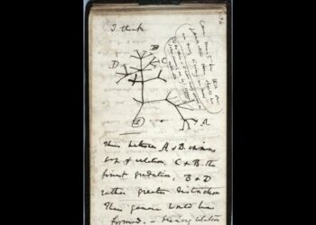 Desaparecen cuadernos de Darwin en Cambridge University