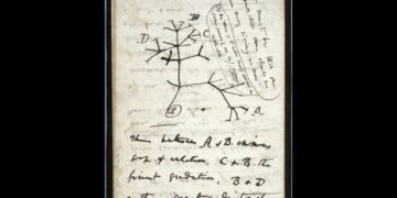 Desaparecen cuadernos de Darwin en Cambridge University