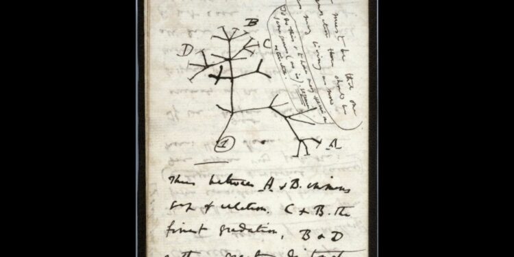 Desaparecen cuadernos de Darwin en Cambridge University