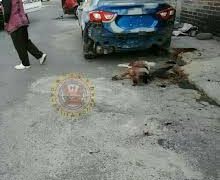 Hombre ebrio apuñala a un perro en Chimalhuacán
