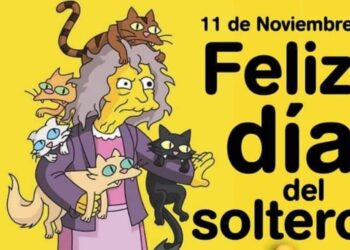 Día del Soltero, 11 de Noviembre