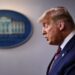 Piden a Trump portarse como “niño grande” y aceptar su derrota