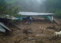 Familia muere tras ser arrastrada por río en Mukem, Chiapas
