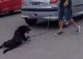 #Video Mujer arrastra a su perro encadenado al coche