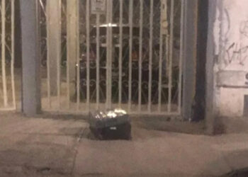 Detienen a dos jóvenes con restos humanos en una maleta