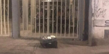 Detienen a dos jóvenes con restos humanos en una maleta