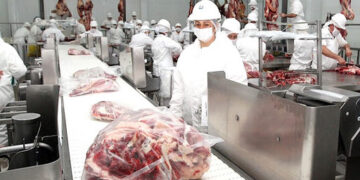 Crecen 23% las exportaciones de carne mexicana
