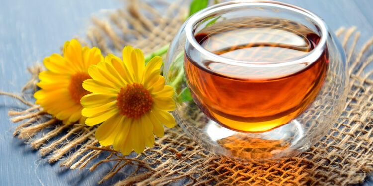 Caléndula: conoce las propiedades y beneficios de esta planta medicinal