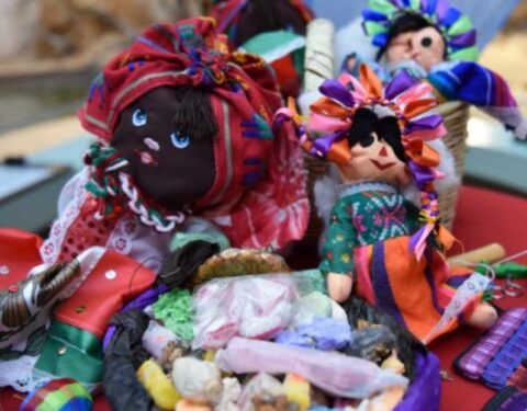 Envían animales mexicanos a Alemania; iban escondidos en muñecas de trapo