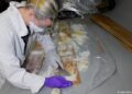 Cocineros mexicanos de metanfetamina, los más codiciados en Europa