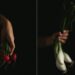Cristina Navarro convierte las verduras en obra de arte