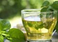 El té verde en tu rutina para gozar de sus efectos