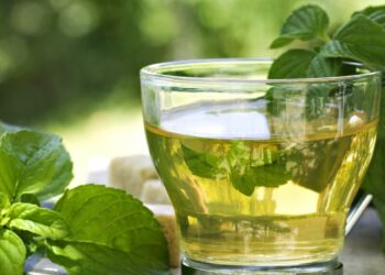 El té verde en tu rutina para gozar de sus efectos