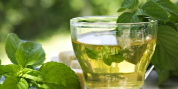 El té verde en tu rutina para gozar de sus efectos