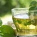 El té verde en tu rutina para gozar de sus efectos